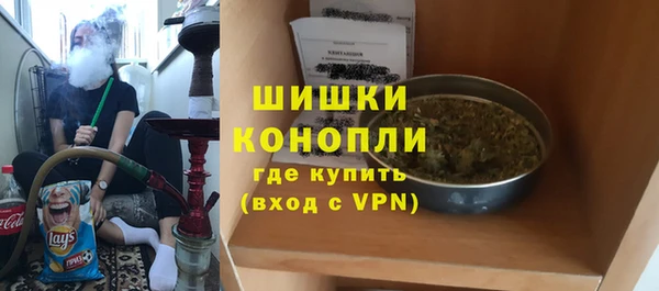 сатива Лихославль