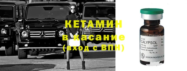 сатива Лабытнанги