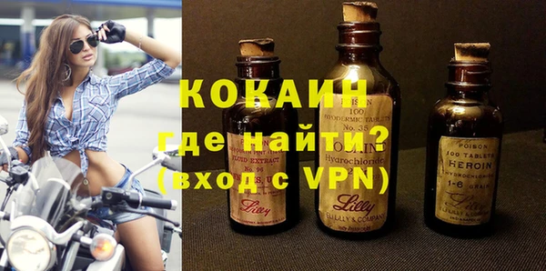сатива Лабытнанги