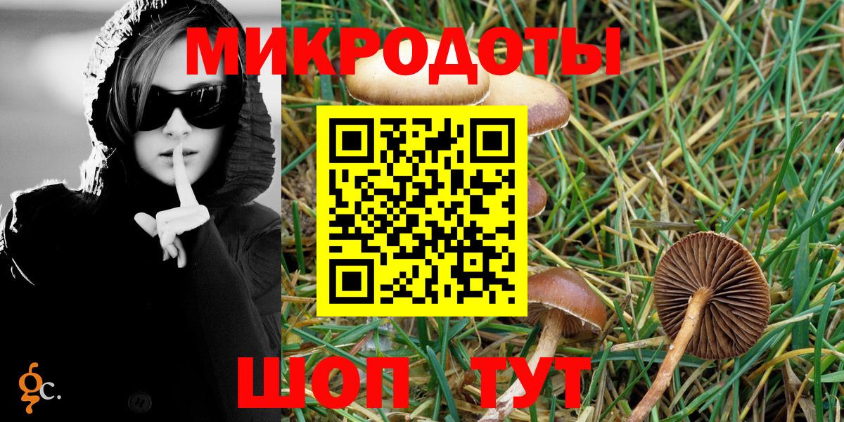 Галлюциногенные грибы прущие грибы  Вход с VPN  Клинцы 