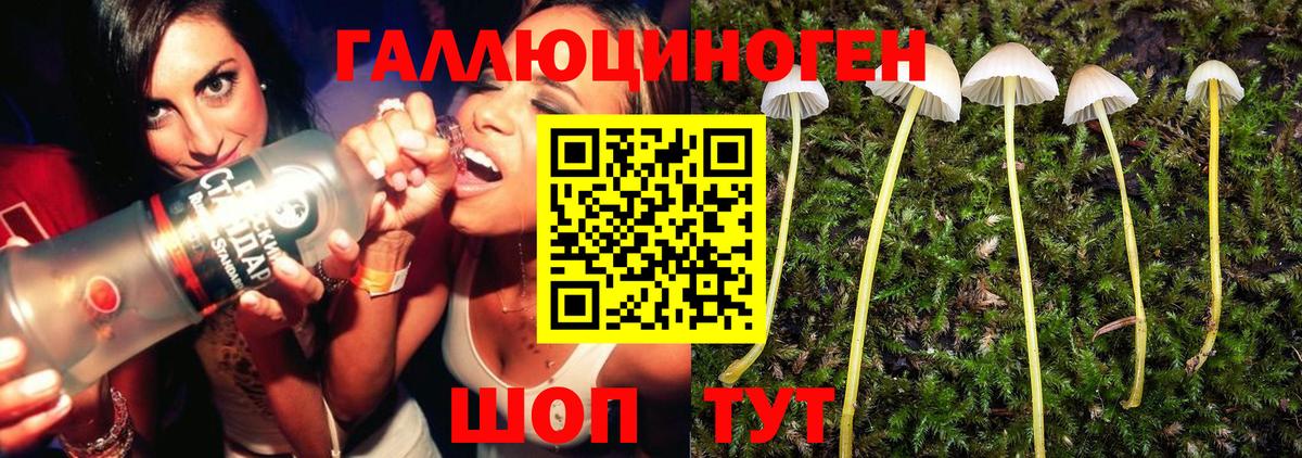 Галлюциногенные грибы ЛСД Клинцы