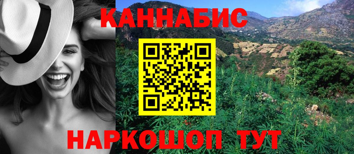 Бошки Шишки план Клинцы